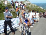 Mollema F.jpg