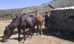 IMG_20110909_134748.jpg