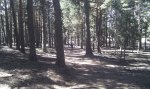 IMG_20110909_142132.jpg