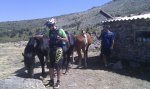 IMG_20110909_134724.jpg