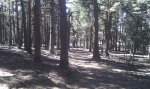 IMG_20110909_142107.jpg