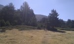 IMG_20110909_135942.jpg
