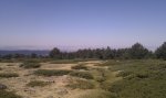 IMG_20110909_132623.jpg