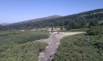 IMG_20110909_133009.jpg