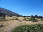 DSC00297.jpg