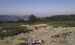 IMG_20110909_134055.jpg