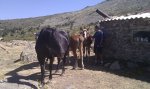IMG_20110909_134654.jpg