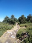 DSC00298_b.jpg