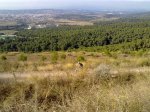 110920113150_1024x768.jpg