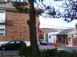 DSC00956.jpg