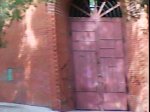 DSC00963.jpg