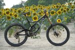 2011_devinci_wilson_build34[1].jpg