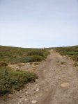 DSC00267.JPG