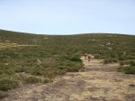 DSC00265.JPG
