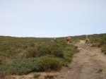 DSC00268.JPG