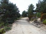 DSC00263.JPG