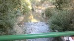 11092011983.jpg