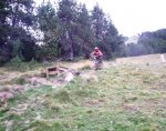DSCF4161.JPG