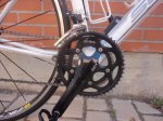 DSC00564.jpg