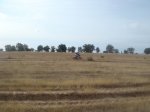 2011-09, 11-sep-2011, 10-42h, Salamanca-Ciudad Rodrigo en MTB.JPG