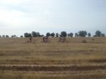 2011-09, 11-sep-2011, 10-42h, Salamanca-Ciudad Rodrigo en MTB_02.JPG