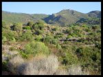IMG_0005.jpg