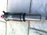 fox r 1.JPG