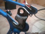 2011-09-14 11.58.09.jpg
