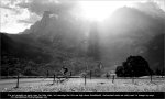 vlt11st22-bw.jpg