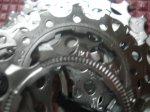DSC02316.JPG