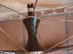DSC05540.JPG