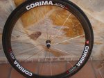 DSC05538.JPG