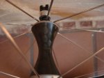 DSC05539.JPG