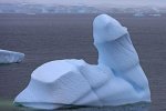 iceberg P.jpg