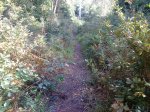 DSC09840.JPG