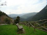 DSC04940.JPG