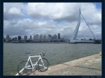 ErasmusBrug.jpg