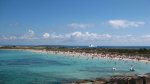 IMG_8657.jpg