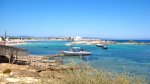 IMG_8839.jpg