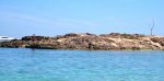 IMG_8831.jpg