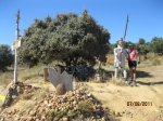camino de Santiago 780.jpg