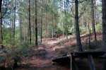 _MG_2076.JPG