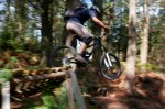 _MG_2080.JPG