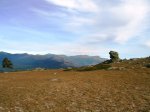 DSCN3486.JPG