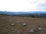 IMG_8550.JPG