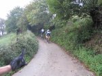 IMG_3403.JPG