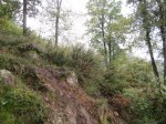 IMG_3418.JPG