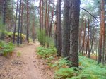 Foto6.JPG