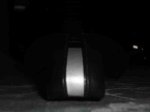 DSC01065.jpg