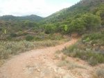 2011-09-17 10.49.19.jpg